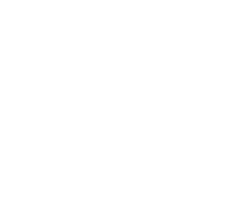TRIDATA