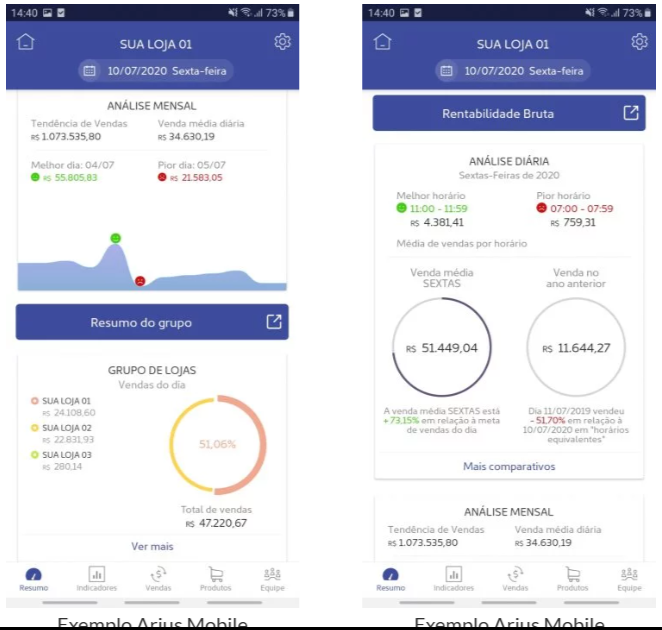 Arius Mobile: análise mensal com tendência de vendas e análise diária por horário